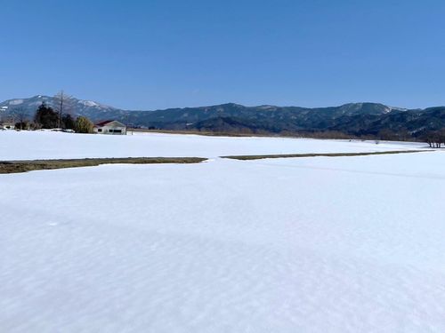 冬の雪原