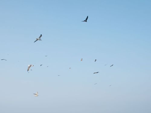 漁船から見た空