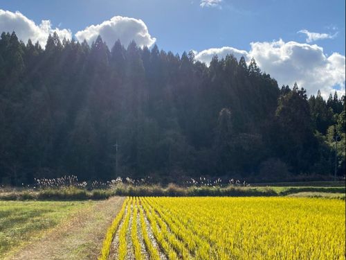 SGDsという言葉以上に循環している里山集落の暮らし