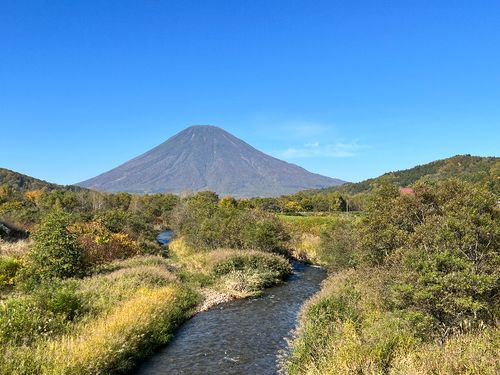 先輩移住者さんが「贅沢な朝の過ごし方」という散歩コースの風景。