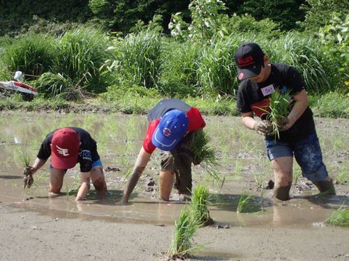 苗を植えていく子供たち。間隔を保ちながら、目の前の作業に没頭。