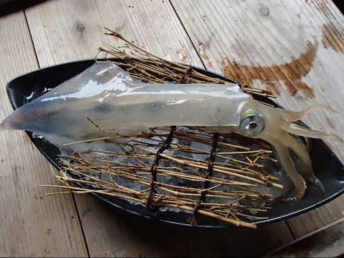 活イカの造りは絶品