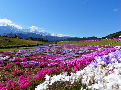 ふぉとじぇにっくな風景がいっぱい！四季を通してカメラ好きにはたまりません！