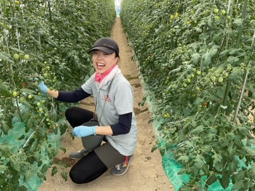 農業ワーキングホリデーに参加して地域を学ぼう！