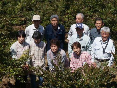 根占樒生産組合の皆さん