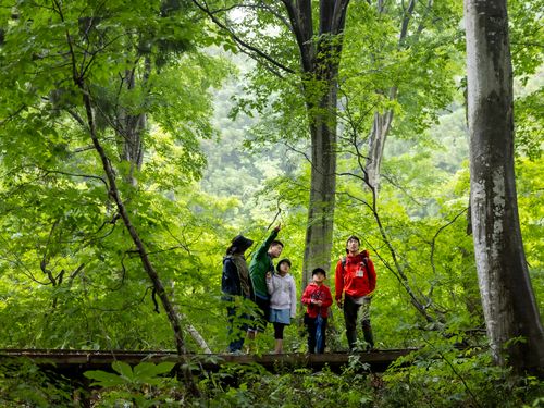 なべくら高原は森林セラピー基地に認定されています