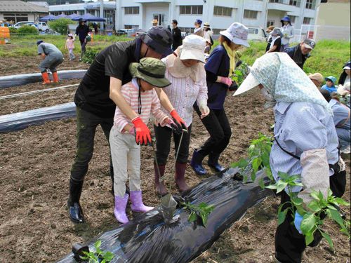 町民とともに苗植えの様子