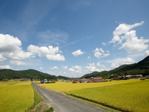 地域の風景②