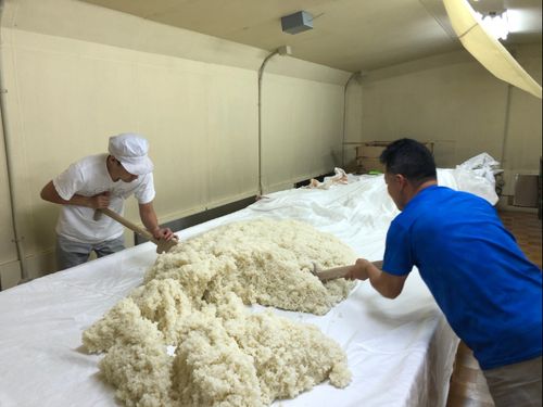 実際に日本酒造りをしている様子