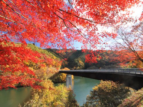 箕輪町のもみじ湖