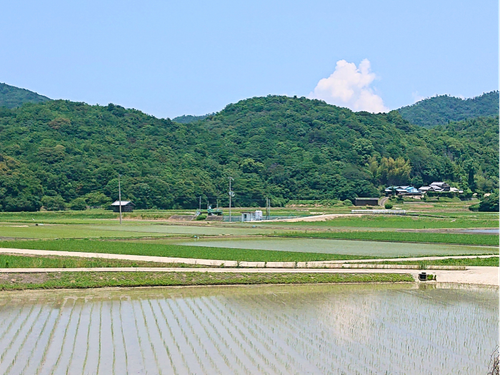 伊加利地区の田園風景