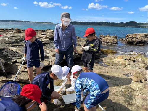地域の方とわくわく磯辺の体験学習
