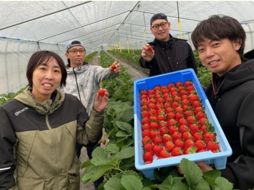 イチゴ事業メンバー