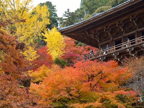紅葉の錦を纏う書寫山圓教寺