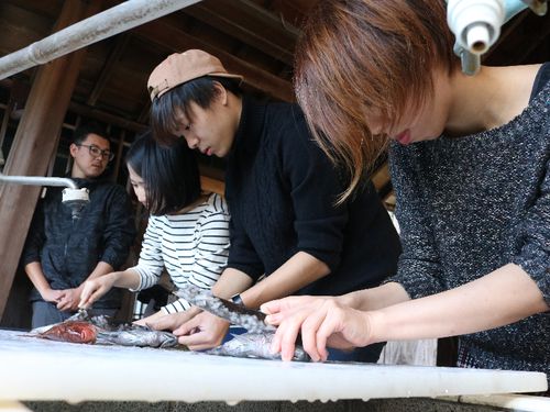 漁業のまち尾鷲市で多種多様な魚の捌き方を教わる参加者