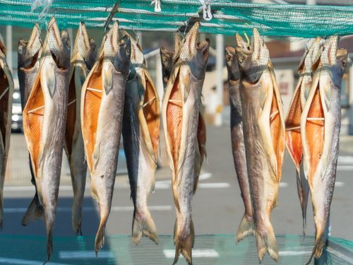 大槌町は、実は「新巻鮭」の発祥の地。このような魅力的な地域資源がたくさんある町です。