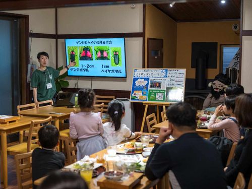 蛍観察ツアーも開催中！
