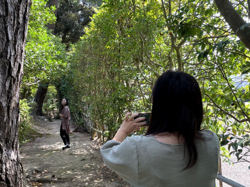びー旅での活動の様子