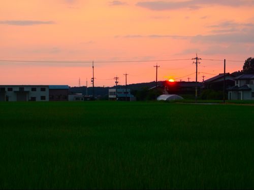 ふとした風景に癒されます