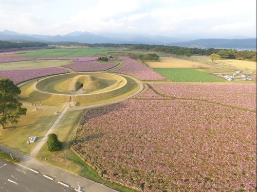 春～秋は西都原でのお花見もご一緒にどうぞ◎