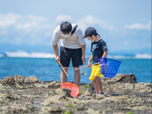 大人も子供も磯遊び
