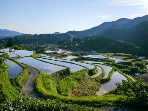 熊本の暮らしについて聞いてみませんか？