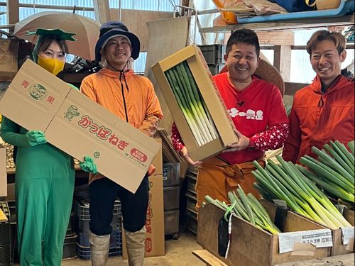 箱に入れて出荷