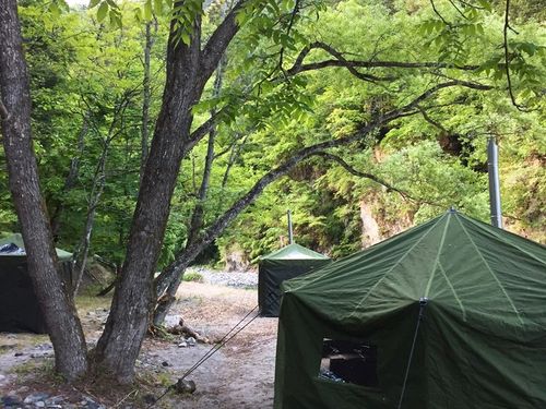 鳥のさえずりで目覚めたら、モーニングサウナへGO！　すっきりと汗を流して、楽しい一日の始まりです♫