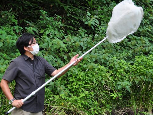 生態調査を行う能登学舎スタッフ