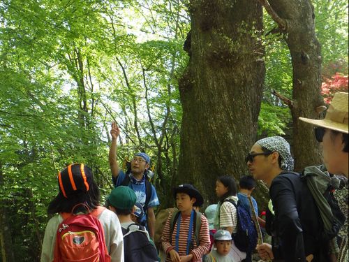 登山をする指導員