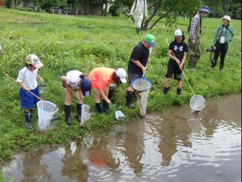 田んぼの生態調査などの環境保全活動