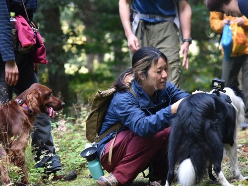 山歩きではワンコの背中にカメラを装着。面白い映像が撮れますよ。