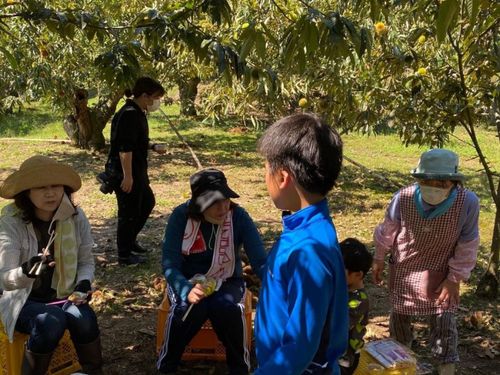 地域の皆さんで栗拾い