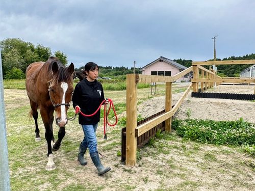 派遣先例：未だ断水の続くなか、引退競走馬支援を行う牧場