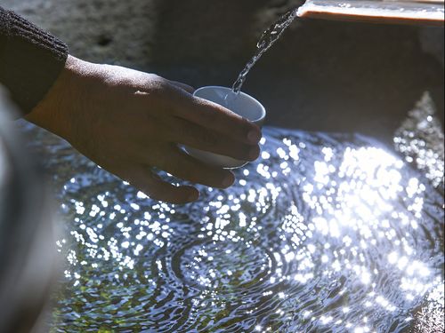 豊富な水資源で昔から変わらない酒造りを続けています