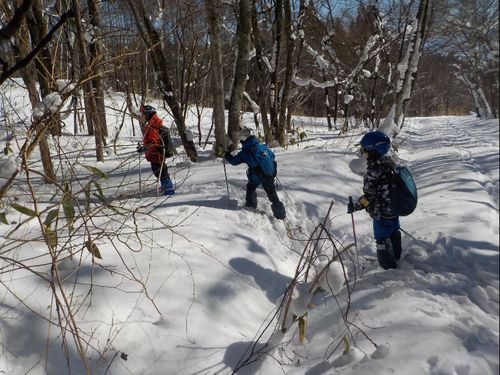 雪の森を歩く技術を養えます