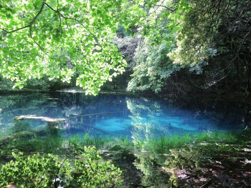 湧き水100％でできた「丸池様」
