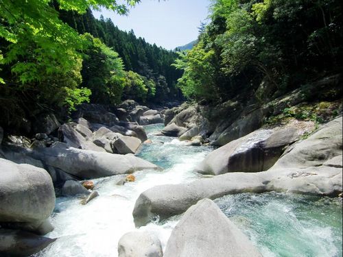 初夏の「祝子川（ほおりがわ）渓谷」