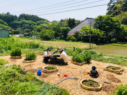 ハーブ園をみんなで少しずつ作っています