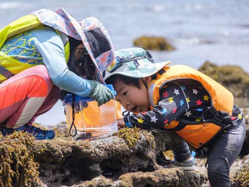 初めて見る生き物に興奮！