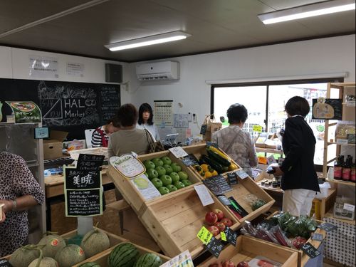 地元農家と立ち上げた会社で運営する八百屋「HALMaket」