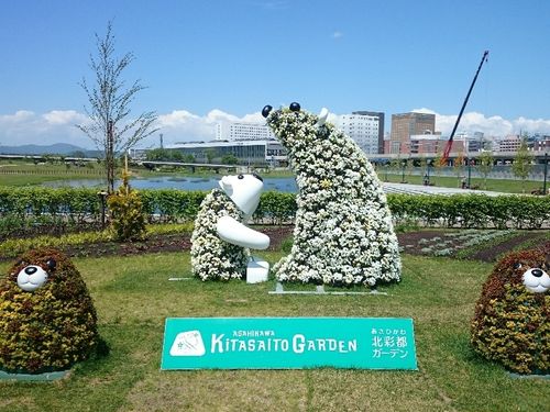 旭川ならではの美しい風景もいっぱいです！