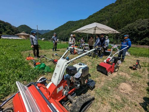 養父市で現地体験イベント（例：草刈り体験会）