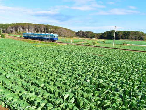 ローカル電鉄「銚子電気鉄道」は100周年を迎えた