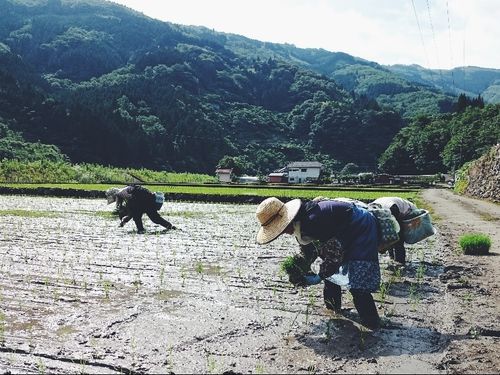 山に生きる人々に受け継がれてきた知恵や技を学ぶ機会もつくる予定