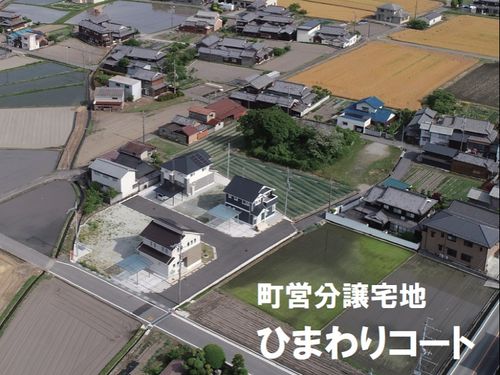 若い世帯に人気のひまわりコート