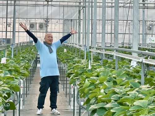 ネクサスファームおおくまの工場長である吉岡さん
