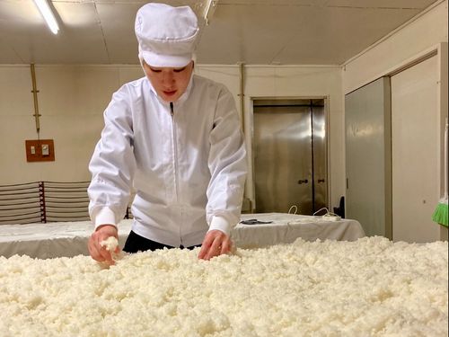 酒造りに従事する職員！