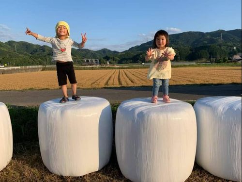 自然に触れ合いながらの教育