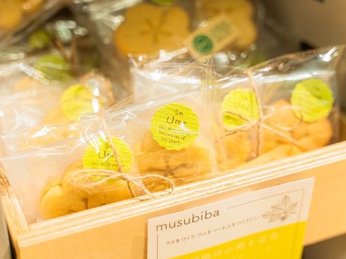 抽選でゲストが手がけたお菓子をプレゼント！（イメージ）